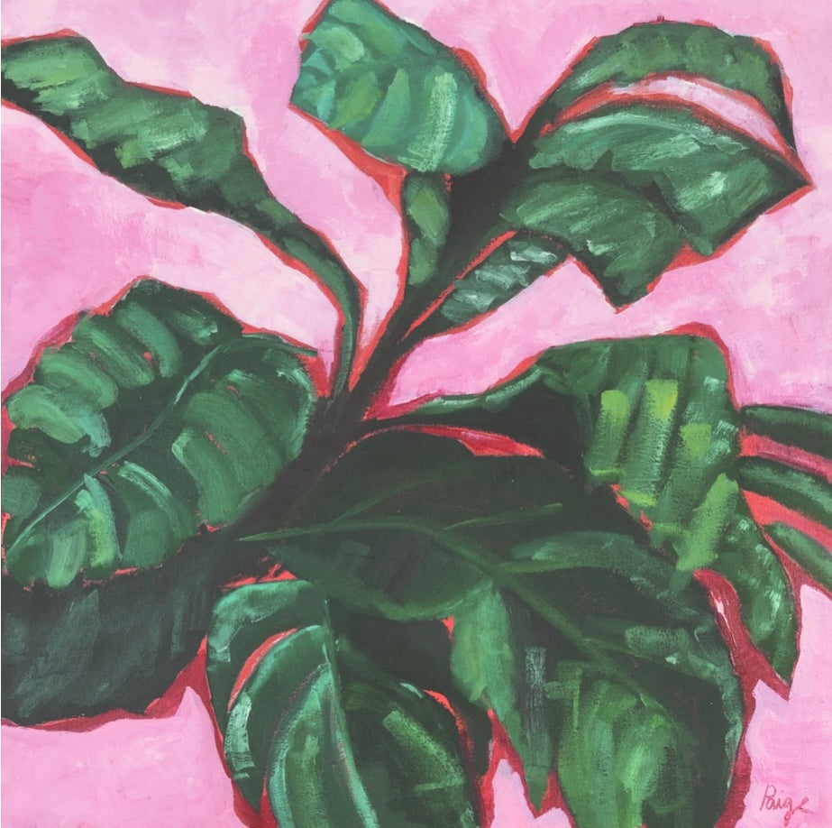 Leaves