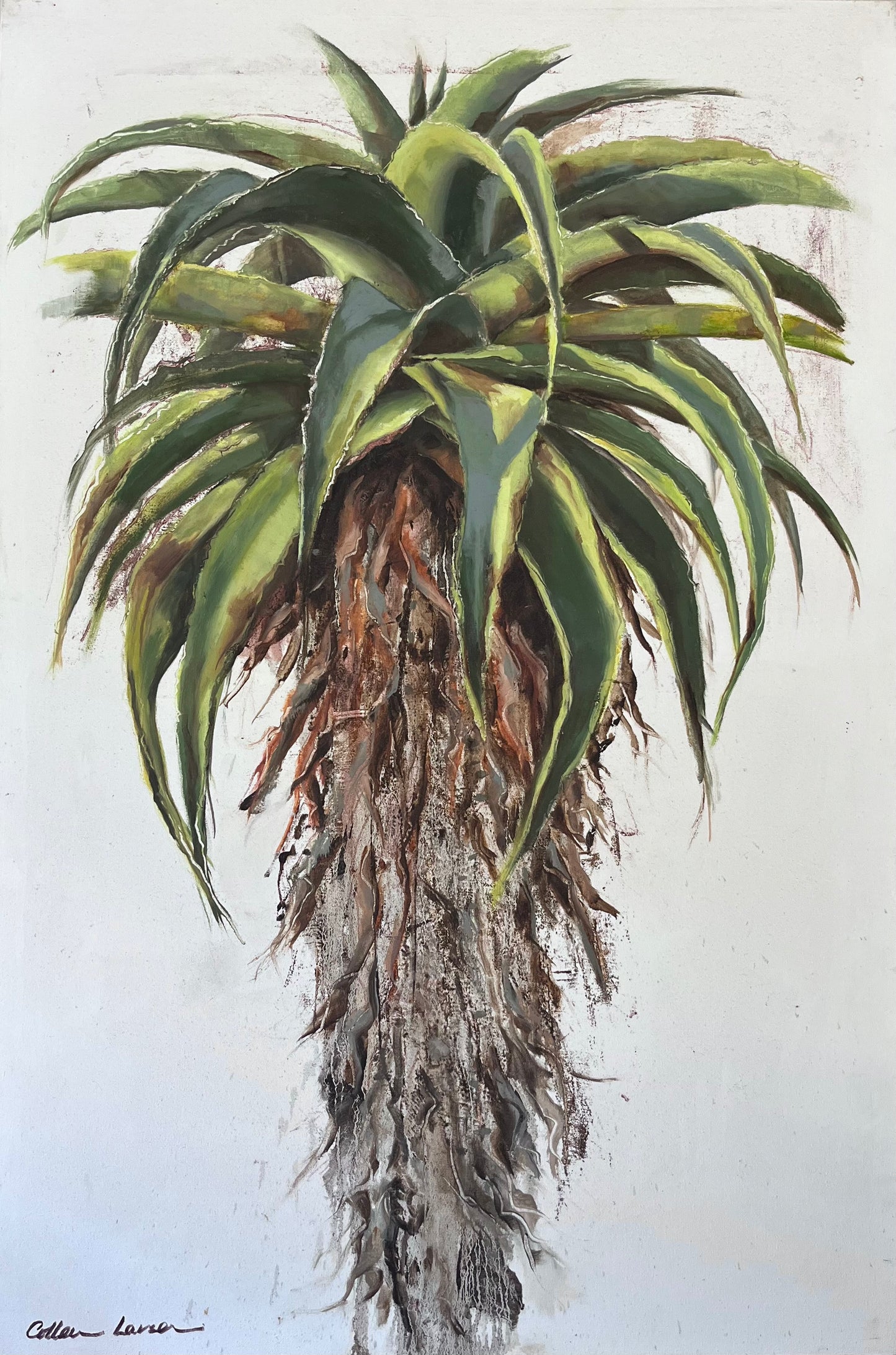 Aloe 2 by Colleen Larsen