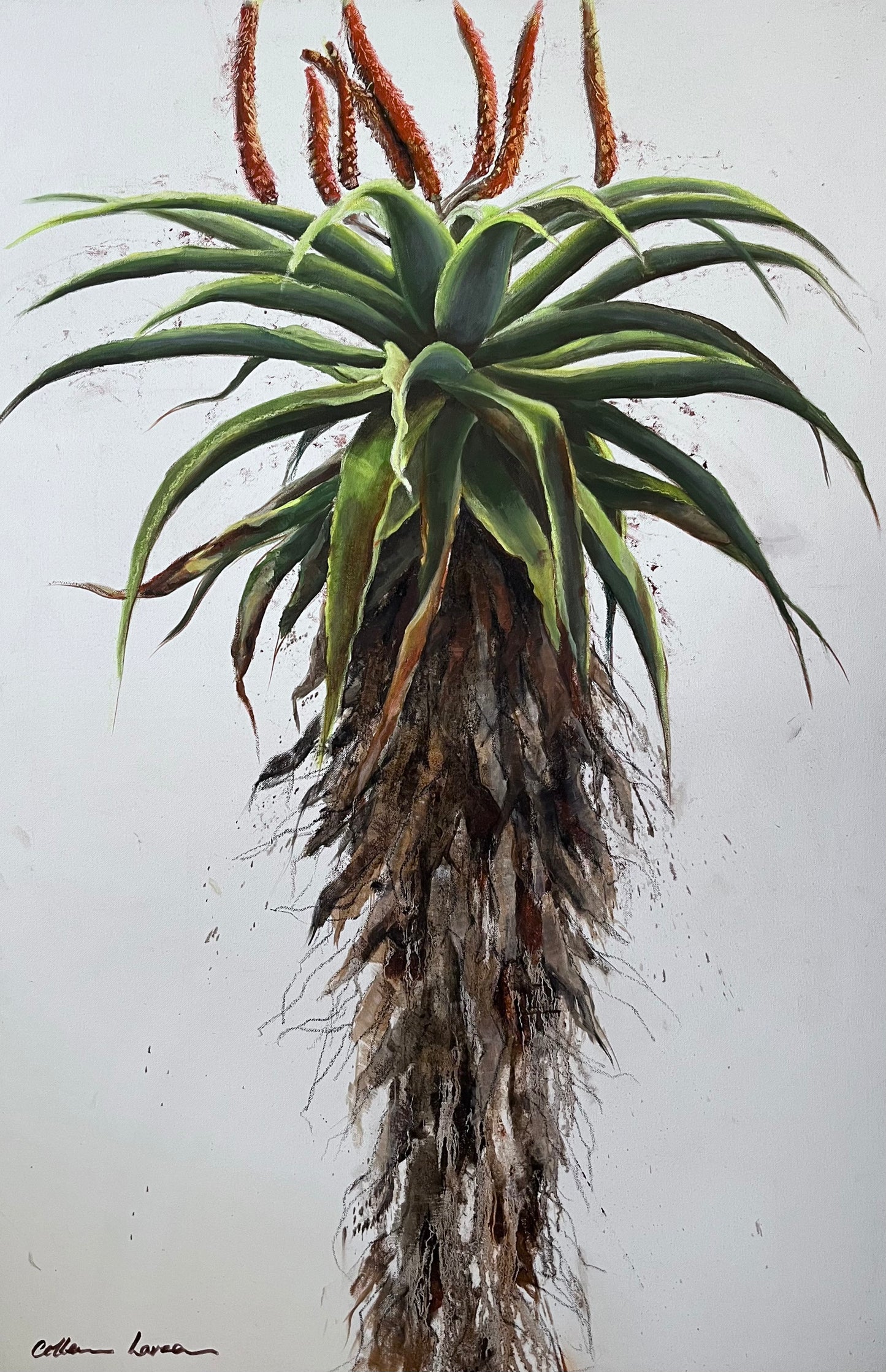 Aloe 1 by Colleen Larsen